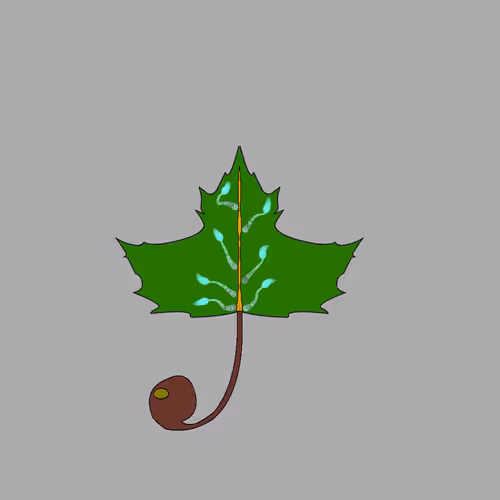 Item #67442861663334708568431626599499864796798009138674433109352702864944456007681 Media