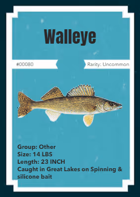 Item #11587606933288487233709956499563114652187662415934773553861794764734905450497 Media