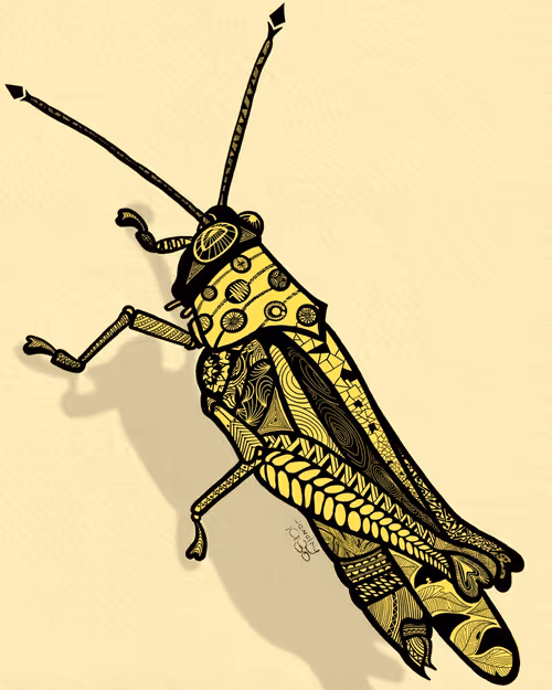 Item #2141876490357759120430650073325956874644020844603919275595865715930698874881 Media