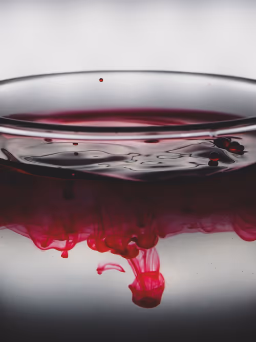 Item #39391070493116977564899321791408150162796374052111424108014134429343941656577 Media