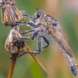 85482677209635580740523827451099252136629396536545148940270710371025153949697