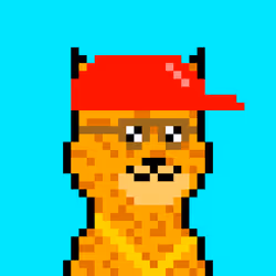 90563394352690505221166821639831502595964177235090668543198269506985501130753