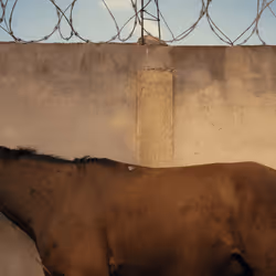 109162157552346088047496633038404394118504199992061596446112929339048361721857