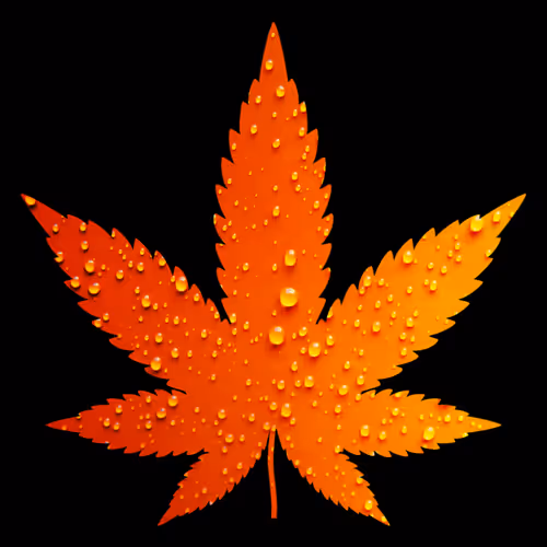 Item #27429404742285856424020713709496491268388893896169540775489702228774373818393 Media