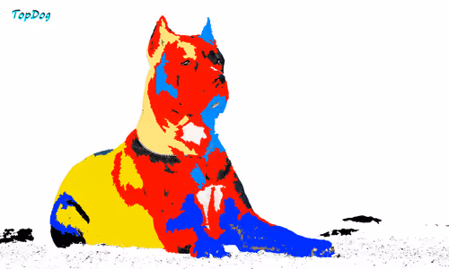 Item #36391424052732399087227214687131846955298181030742443093081293114280608006244 Media