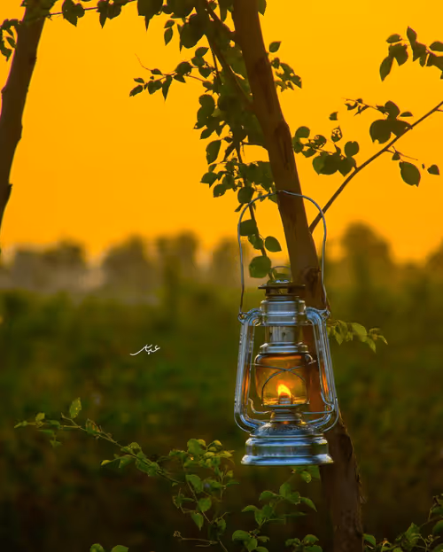 Item #9104047852343460824823657095955061139286762947505329334286274204912286957569 Media