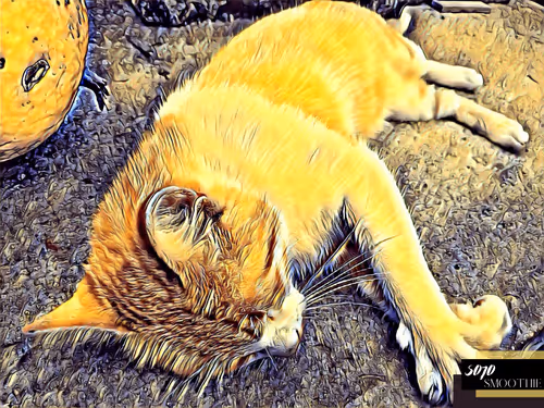 Item #70173555060280459679020221103172679865592931086946583501557978912887362551809 Media