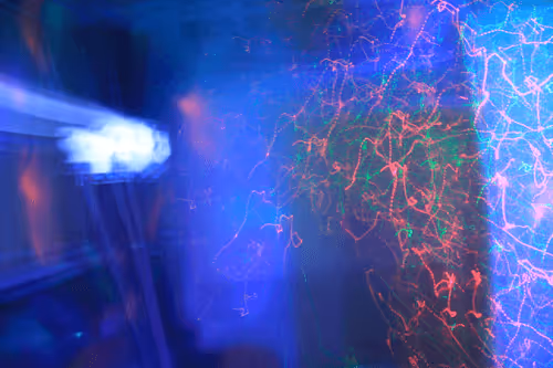 Item #25388429571187189400142896144030193801342767201083735738326485276098388033537 Media