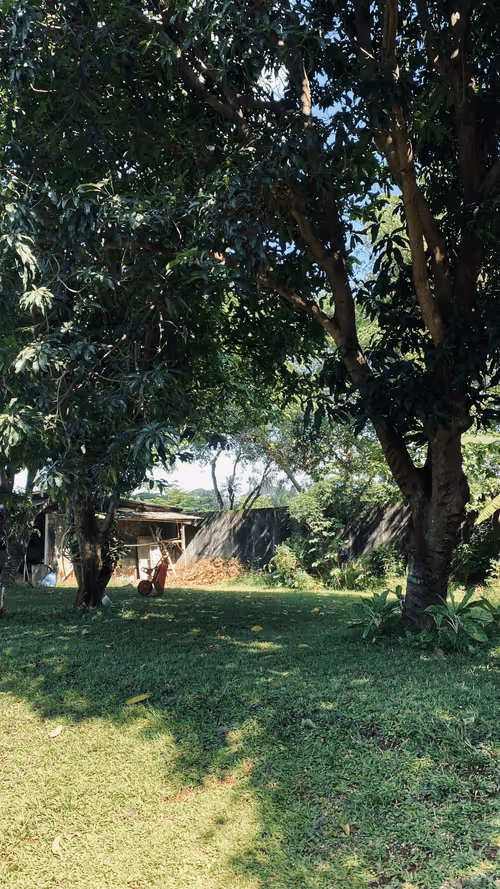 Item #67351599835119222926472791054605114312857726710672675867915900285299390939137 Media