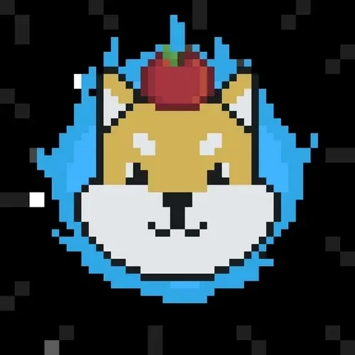 Rocketshiba