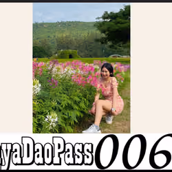 ArayaDaoPass#60