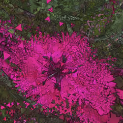 FLXER7
