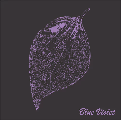 Item #40167138637940562108431742001123872206105593199433866487640627807679999377409 Media