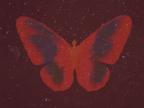 Item #48718954052692048495001535401334336720564287005017073753564083309273711378433 Media