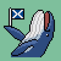 Whale, hello there SCOTLAND!