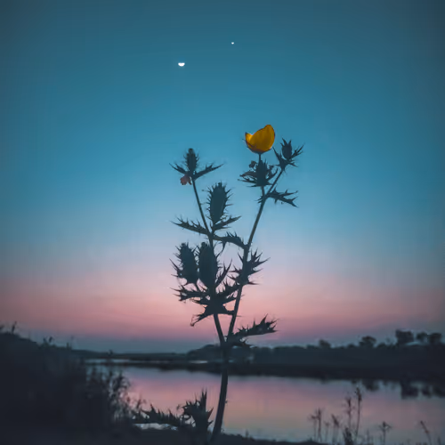 Item #25616082582926581849828542289953210650844898071757148195180127661747611893761 Media