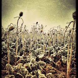 3787080761074609709675817509753112159059746763483256848434353514915454517249