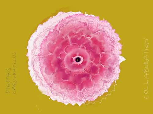 Item #36852278608857291470989576231944557876708875347652874372458497590265261326337 Media