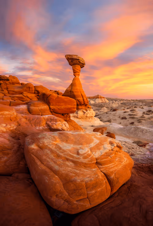 Item #1833942018307685364430672493149383567190945732151624631916381561557551677462 Media