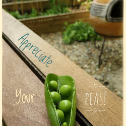 3787080761074609709675817509753112159059746763483256848434353656752454500353