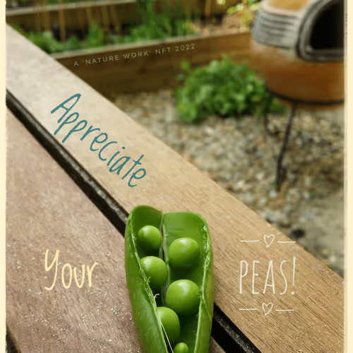 Item #3787080761074609709675817509753112159059746763483256848434353656752454500353 Media