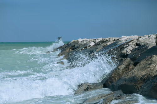 Item #94150217277666219429250459703158636086415692339192434143153956999965335093348 Media