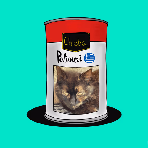 113036293229774222933862000579628627864556668685415743327960412365777067311105