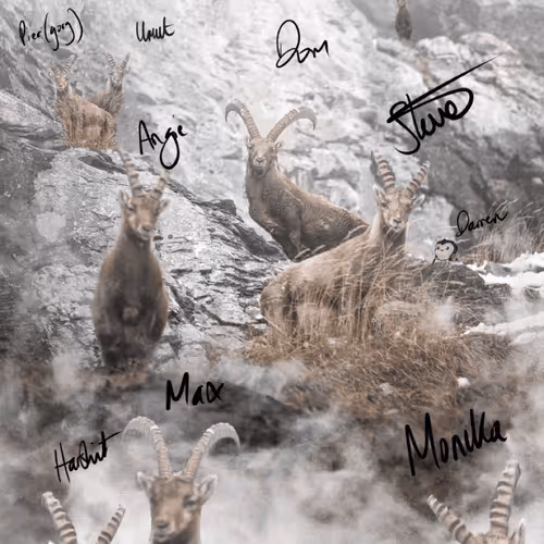 9109585521216700921320633943546002484085605596253519079097704982237795057674