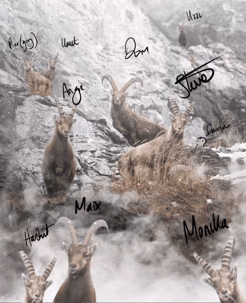 Item #9109585521216700921320633943546002484085605596253519079097704982237795057674 Media