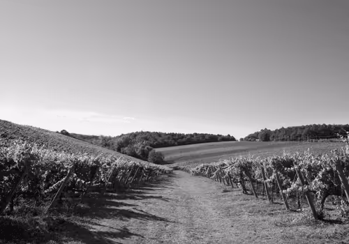 Item #44700108579651333138667542629820837396884608340507399849221760695568238116865 Media