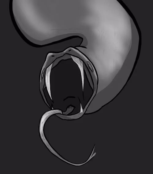 Item #68433545942358475756877512566270510215863032958314924383982705309370292371457 Media