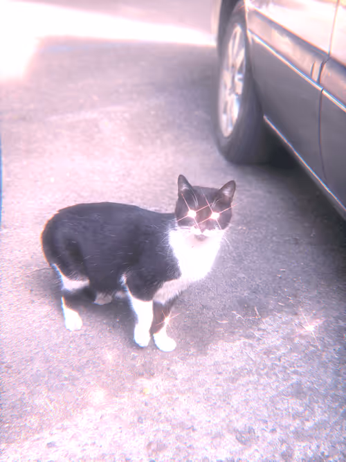 Item #102650025238985064889532626323507420633017859616961165632132730226682105954305 Media