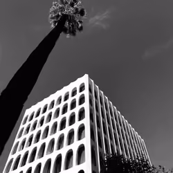 Sidewalk Spectacle II - LA '21