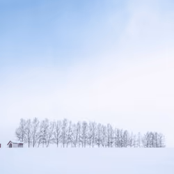 Snowy Wonderland