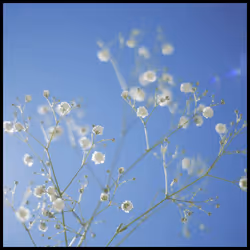 65735283901235411095565859455791530090015704811558660765095343384203410538505