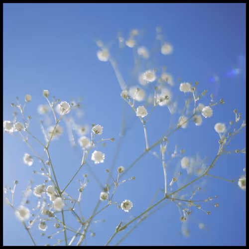 65735283901235411095565859455791530090015704811558660765095343384203410538505