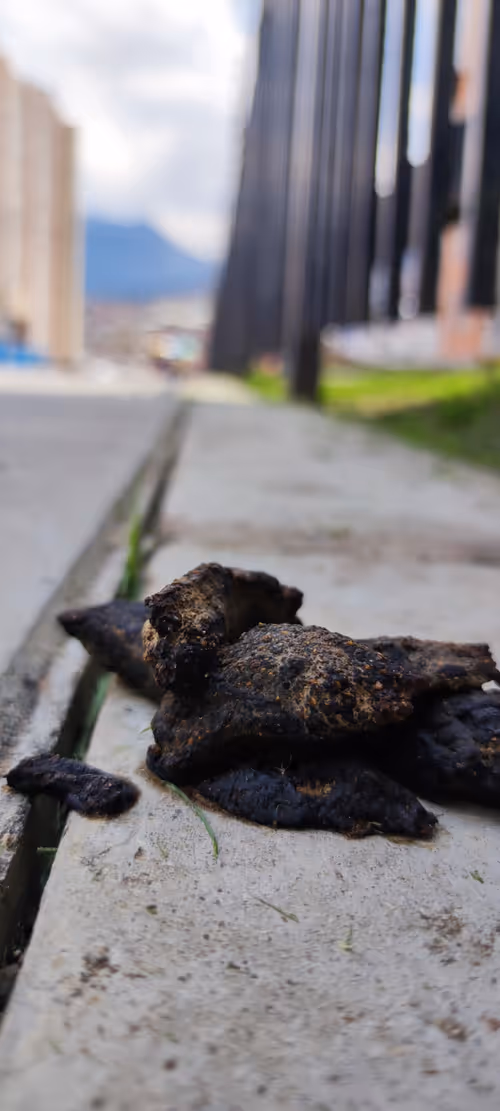 Item #46030170572338065013954339165187362546387663606248340675285172493654354296833 Media