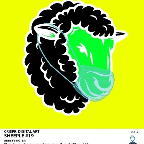 Item #87415360235446664004770043537842400761718434103181100029078096184599052812289 Media