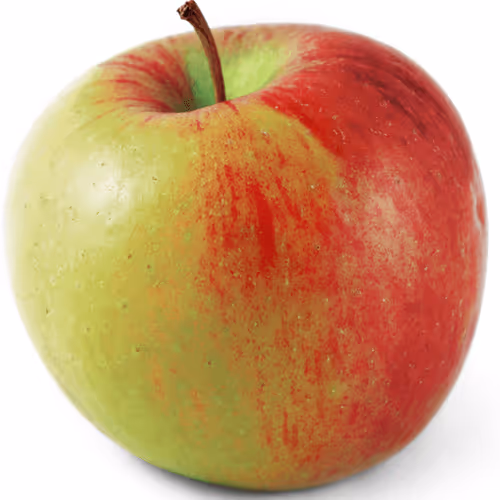 Appel ( test)
