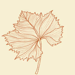 77817176611953197851927854564790911507075696280485007773847887680434895585281