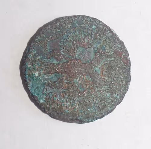 Item #112515774101499356954122905241054541275526563094744372199252615517215502903056 Media