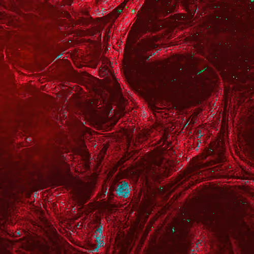 Item #14770261044727985535314155131799257530473732503993243924006256494480803758081 Media