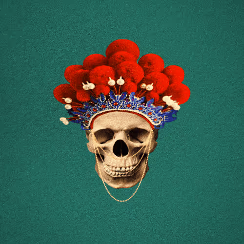 Item #59646891752723899406110743616803786993980577716002236556631688898390448406529 Media