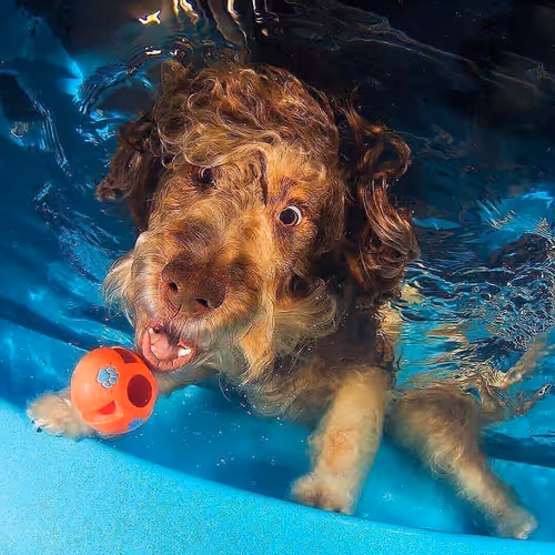 Item #28539388669985374382145380914581768988618735513647259513778914886487218585601 Media