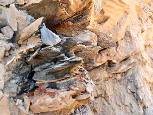 Item #32708508987210996203505439108186848896243903998336501445034175503529347645441 Media