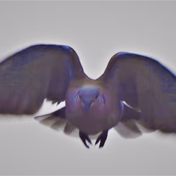 Icarus