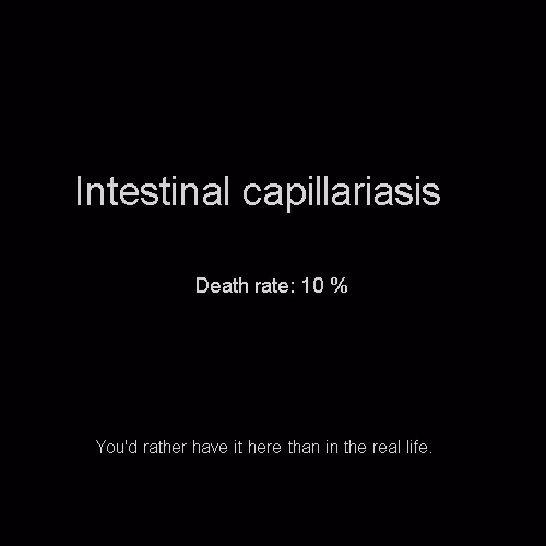 Item #81808085032476359797455255547863298923837726005960725874573045496941054526440 Media