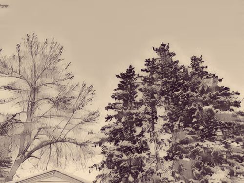 Item #47363753603702379708308966357623410528548816847410412850833506874081813725284 Media