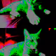 61082193928742656492132093982871814504310418469945563105305492564186262142977