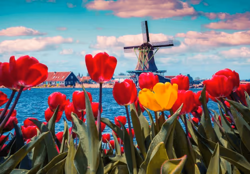 Item #57500777146630575946577095309021128773134385874289132035968473308626673467393 Media